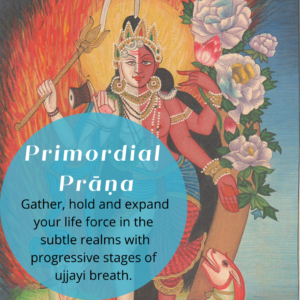 yoga with kaya | Primordial prana